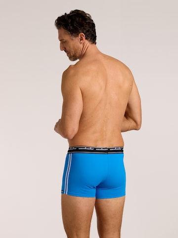 wavebreaker Swim Trunks in Blue