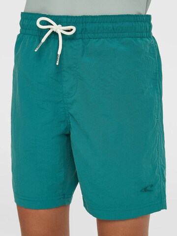 Pantaloncini da bagno 'Vert' di O'NEILL in verde
