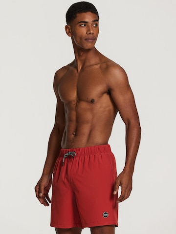 Shiwi Board Shorts 'easy mike solid 4-way stretch' in Rot