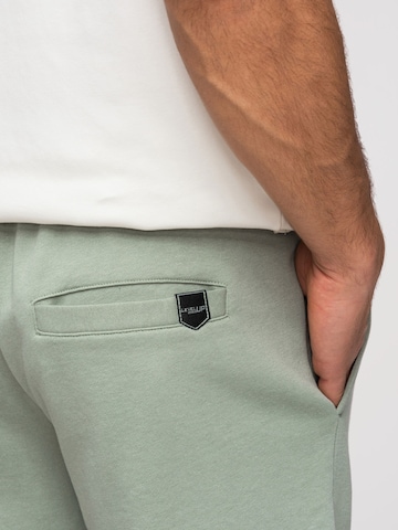 Regular Pantaloni de la Ombre pe verde