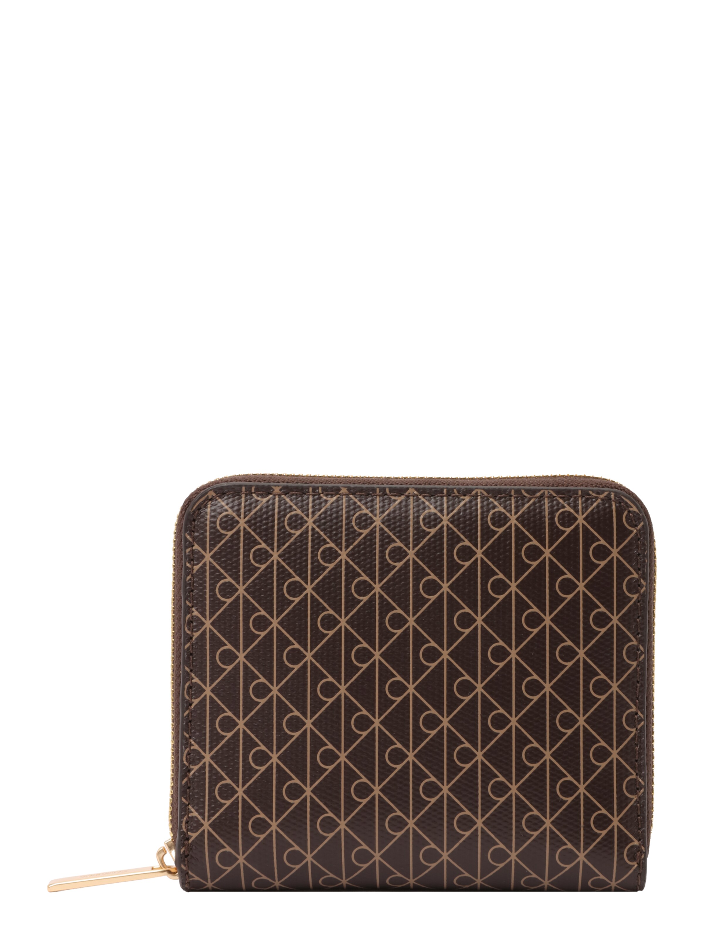 Calvin Klein Wallet in Brown: front