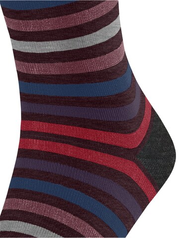 FALKE Socken 'Tinted Stripe'‌‌‌‌‌‌‌ in Rot