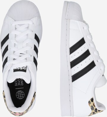 ADIDAS ORIGINALS Σνίκερ 'Superstar' σε λευκό