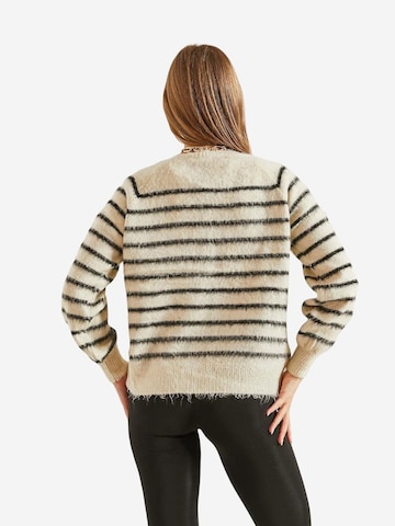 Bianco Lucci Sweater in Mixed colours