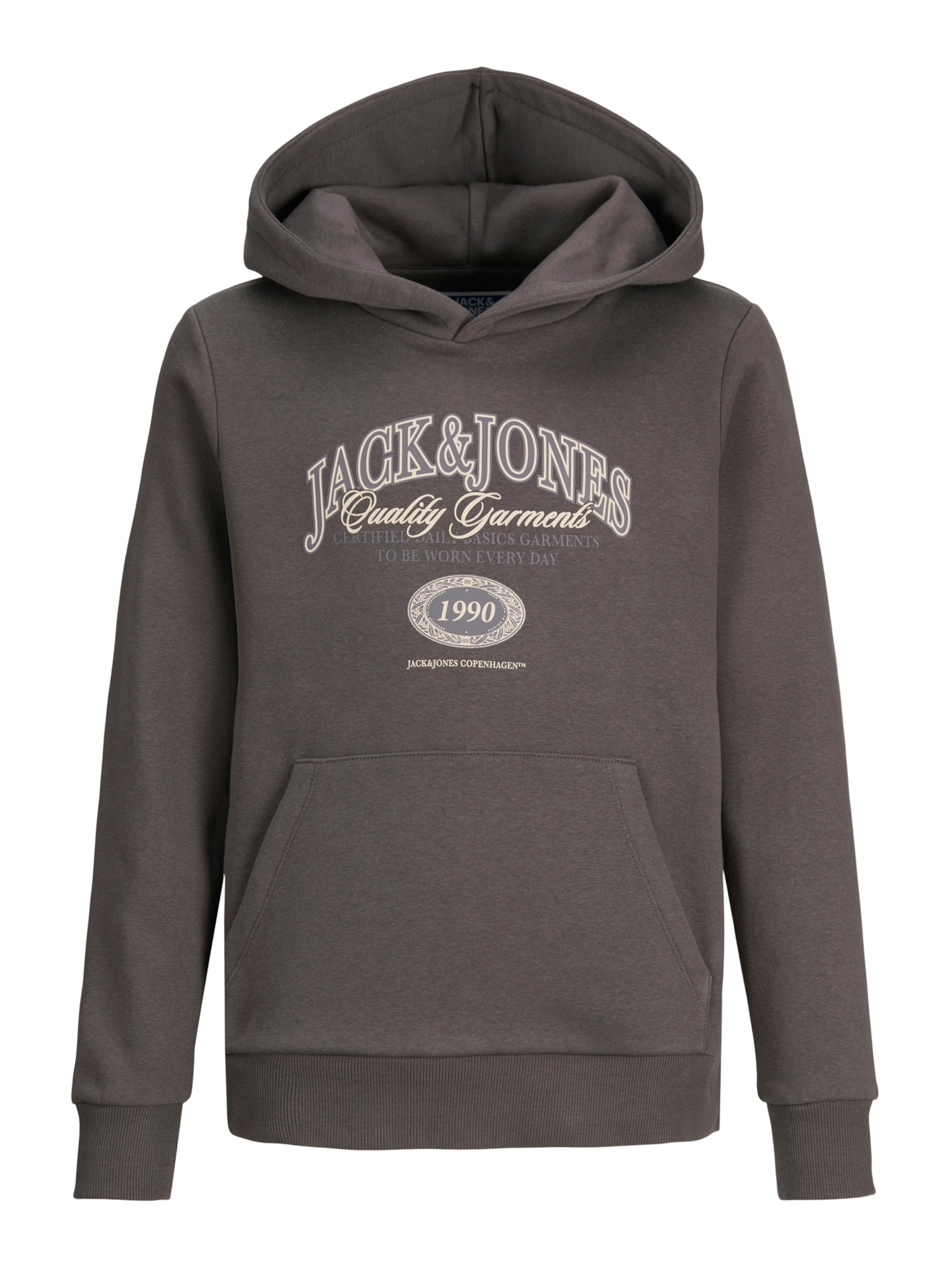 Jack &amp; Jones Junior Sweatshirt &#x27;JJARI&#x27; in Grey: front