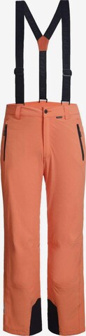 ICEPEAK Regular Skihose 'Freiberg' in Orange: predná strana