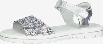 Richter Schuhe Sandals 'Emma' in Silver: front