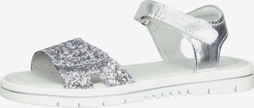 Richter Schuhe Sandals 'Emma' in Silver: front