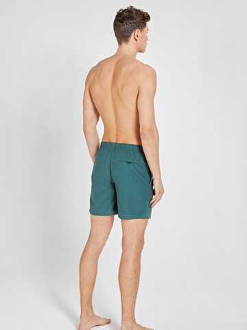 Shiwi Board Shorts 'Mike' in Green