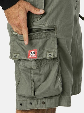Molecule Regular Cargobroek 'BAGGY' in Groen