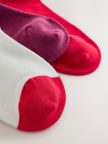 Chaussettes Next en mélange de couleurs