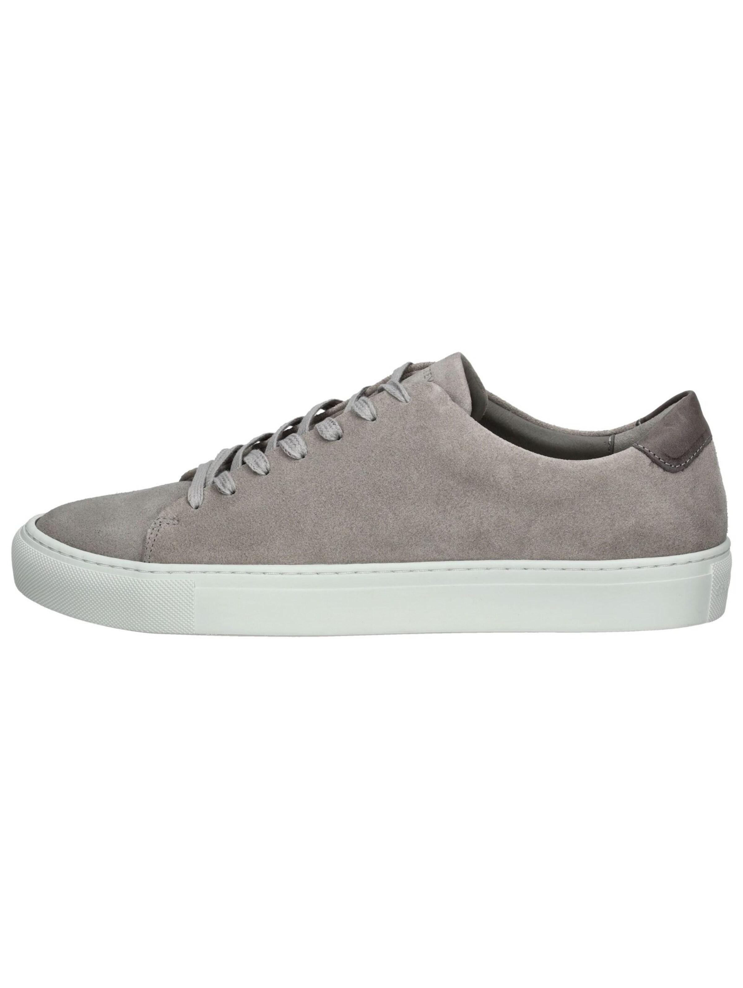 Baskets basses Sneaky Steve en gris