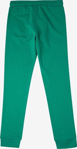 Tapered Pantaloni sportivi di O'NEILL in verde