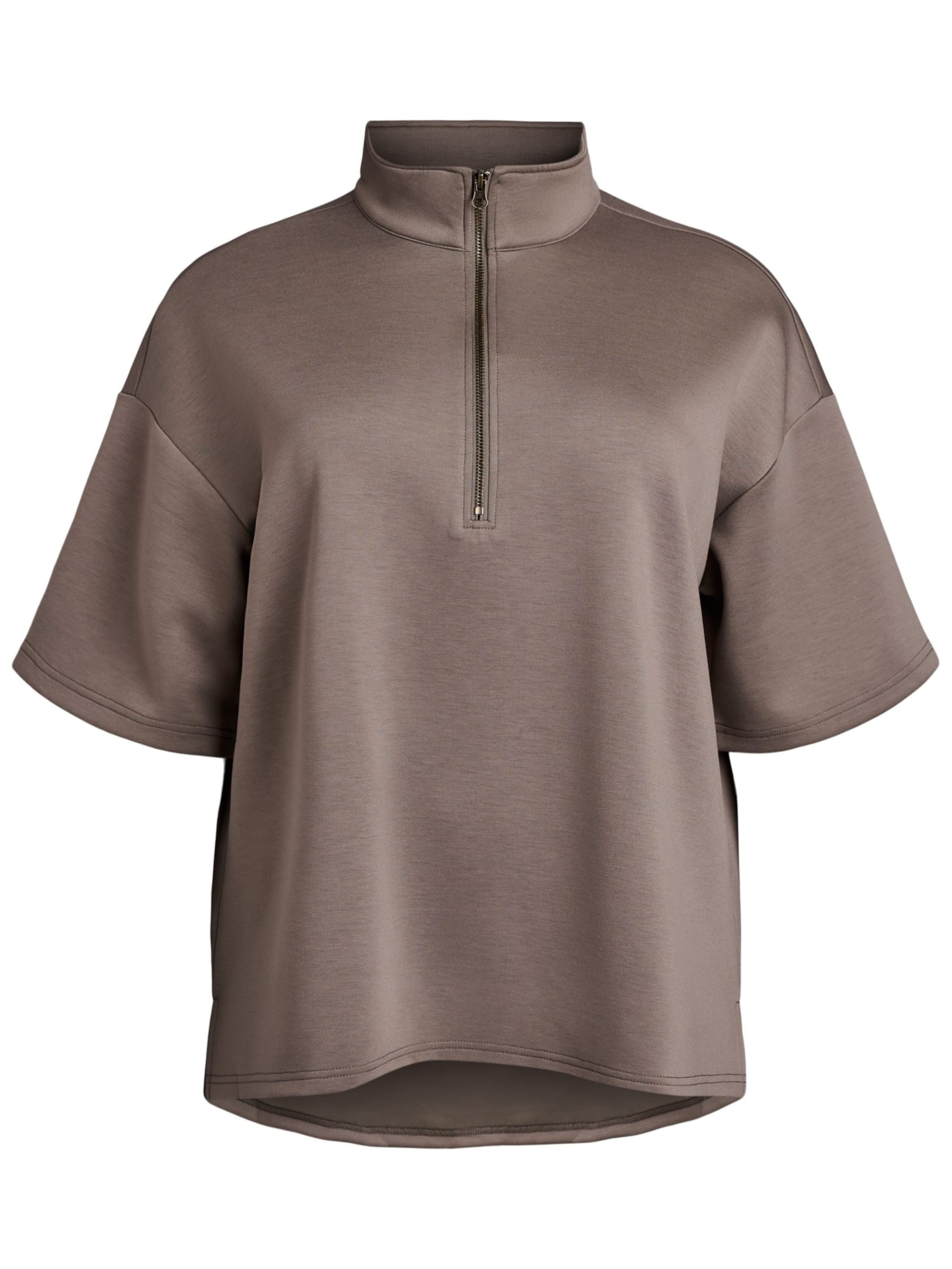 Zizzi Μπλούζα φούτερ 'Cakatalina' σε καφέ: μπροστά