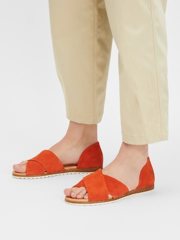 Apple of Eden Sandals in Orange: front