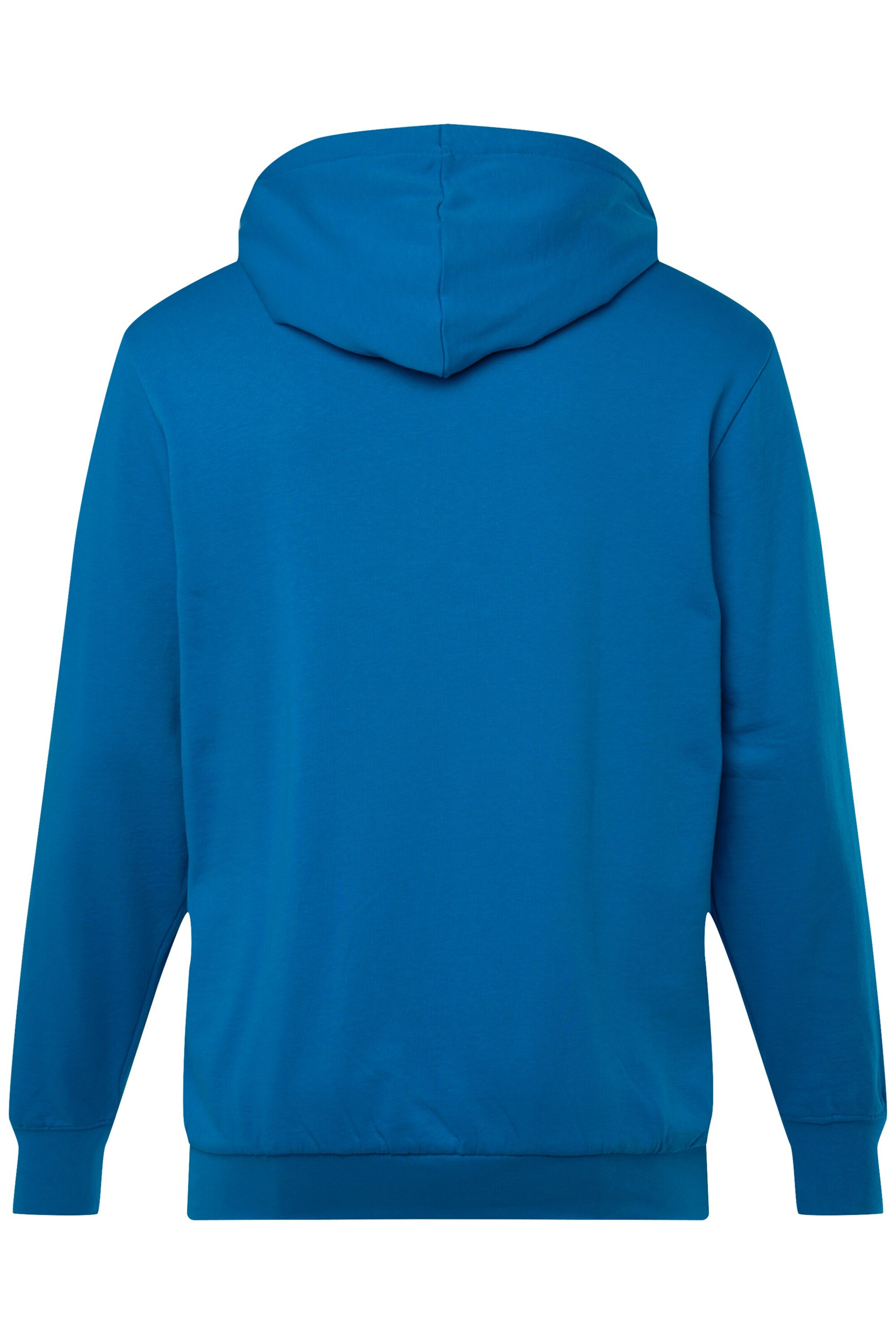 Men Plus Sweatshirt in Blue