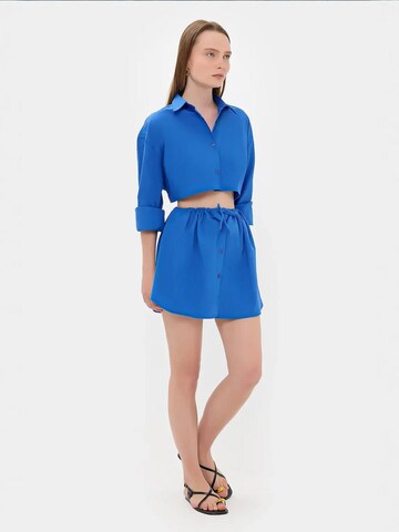 Hiccup Blouse in Blue: front