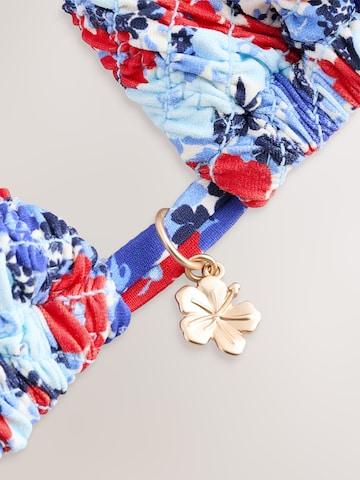 Next Triangle Bikini top in Blue