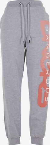 Dangerous DNGRS Trousers in Grey: front