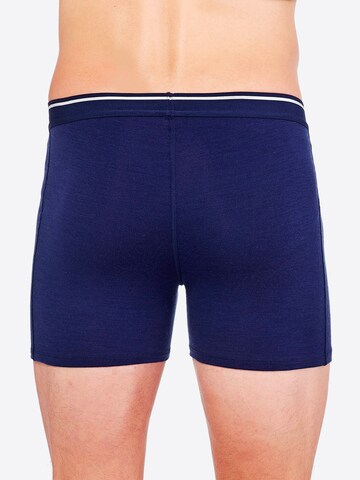 Boxers ICEBREAKER en bleu