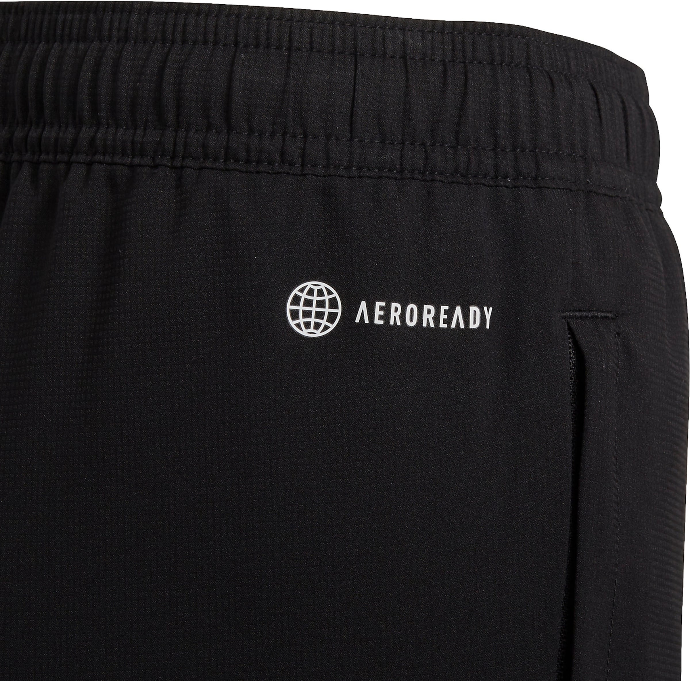 ADIDAS PERFORMANCE Обычный Спортивные штаны 'Entrada 22' в Черный