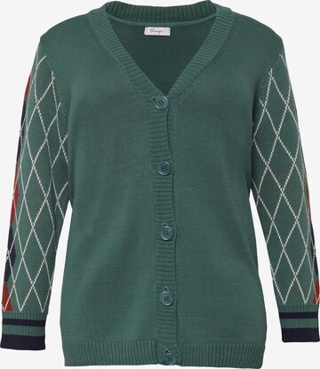 SHEEGO Knit Cardigan in Green: front