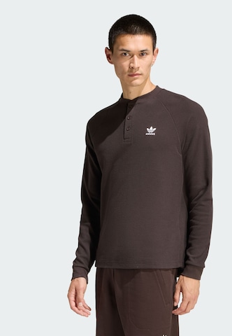 T-Shirt ADIDAS ORIGINALS en marron : devant