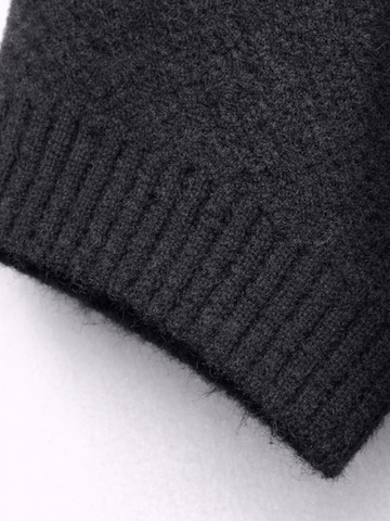 Pullover 'Pullover' di MixRay in nero