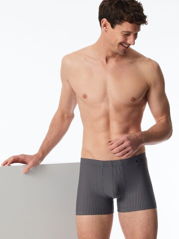SCHIESSER Boxer shorts ' Pure Micro ' in Grey: front