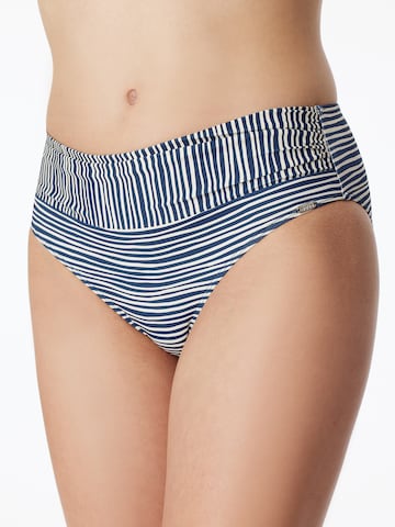 Triangle Bikini 'Aqua Sea Blossom' SCHIESSER en bleu