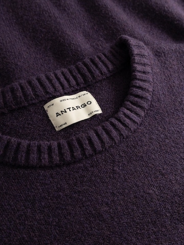 Antargo Sweater 'Bruno' in Purple