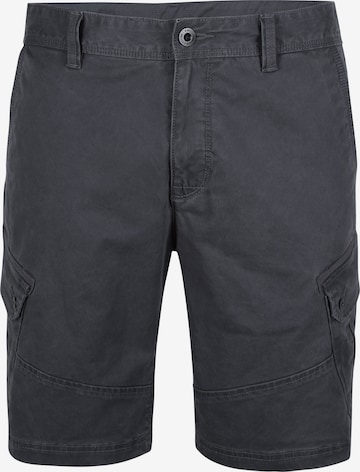 O'NEILL Regular Cargo Pants in Grey: front