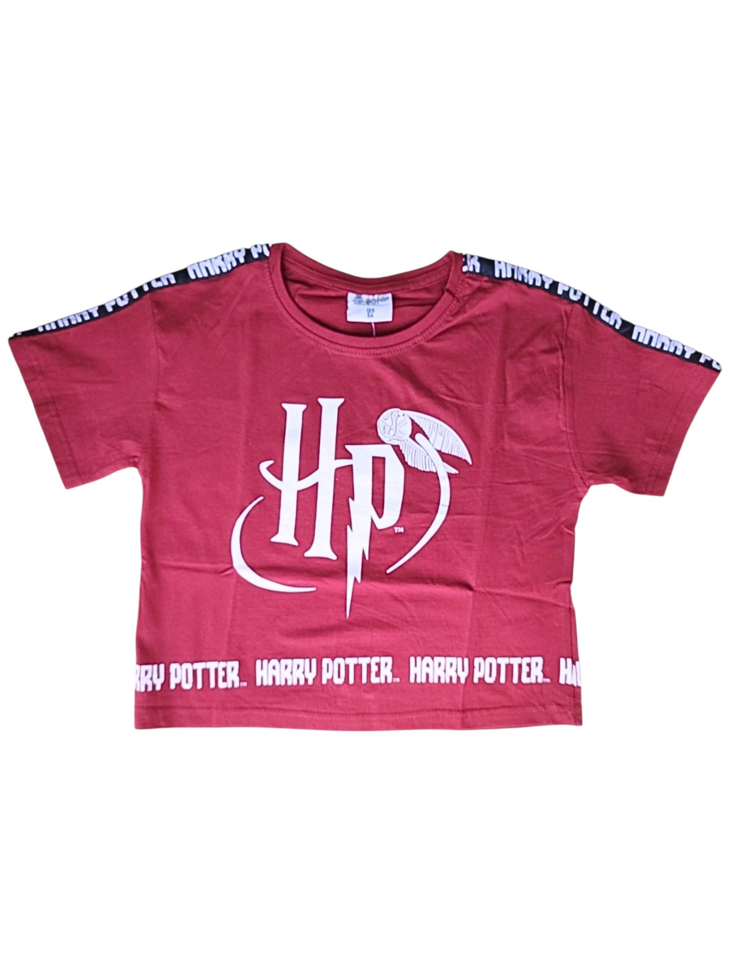 Harry Potter Shirt 'Harry Potter T-Shirt' in Red: front