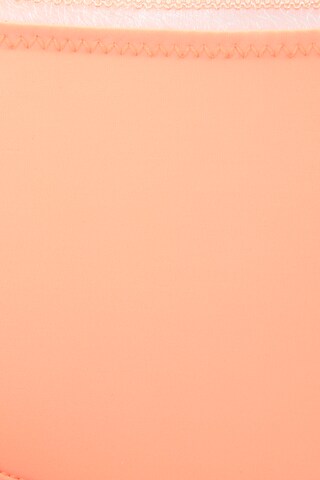 LASCANA Boyshorts in Orange