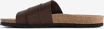 Bayton Mule 'SOMBRERO' in Brown