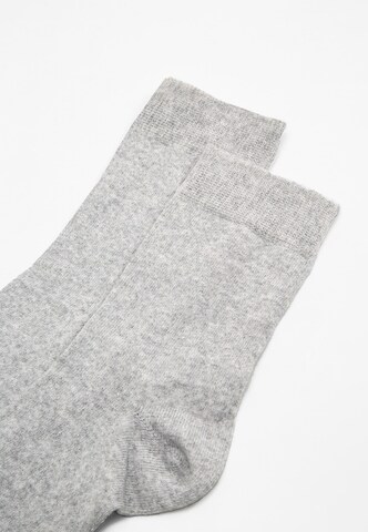Albert Schäfer Socks in Grey