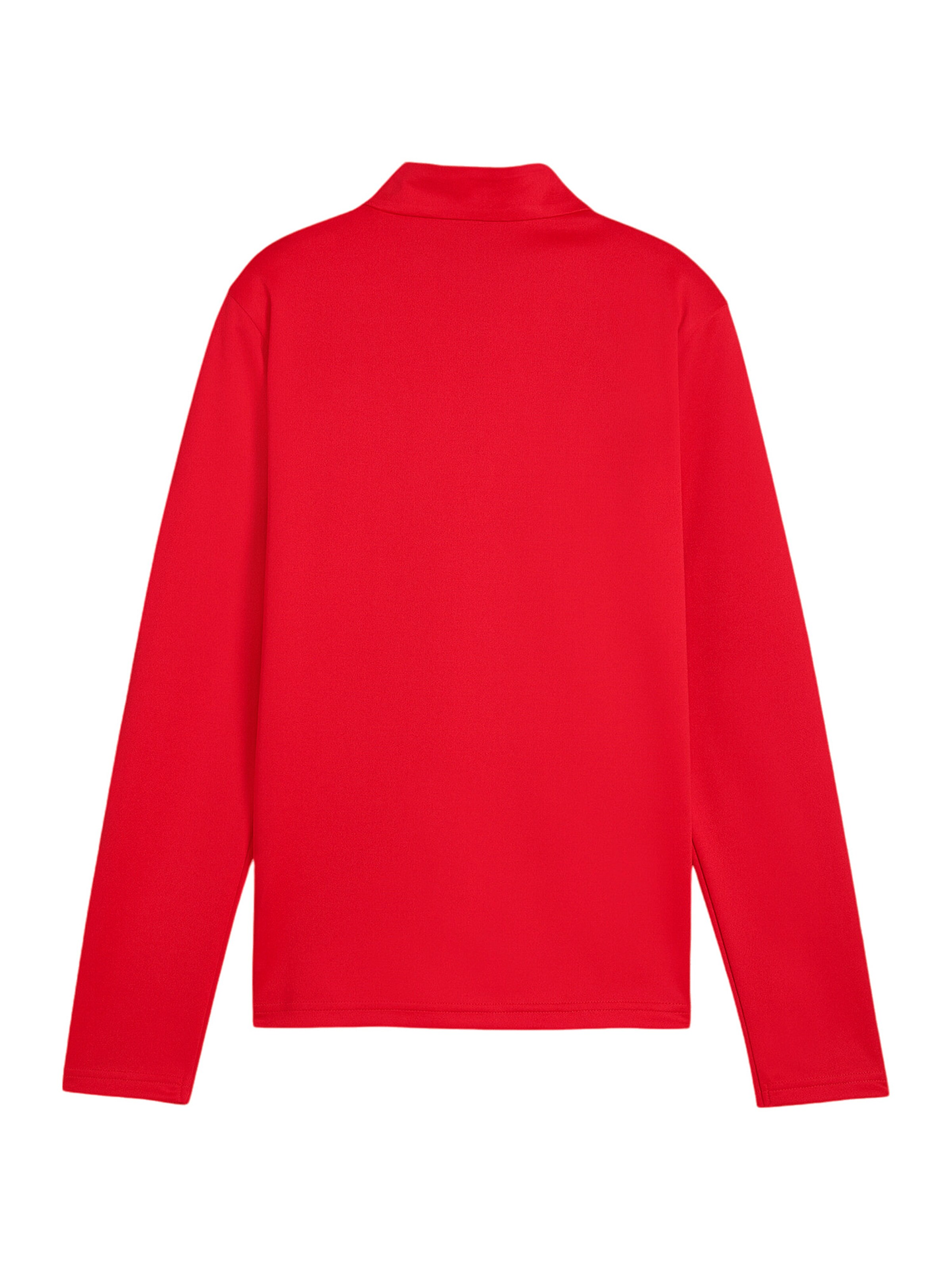 PUMA Funktionsshirt 'TeamGoal' in Rot