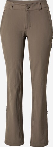 THE NORTH FACE Spodnie outdoor w kolorze brązowy: przód