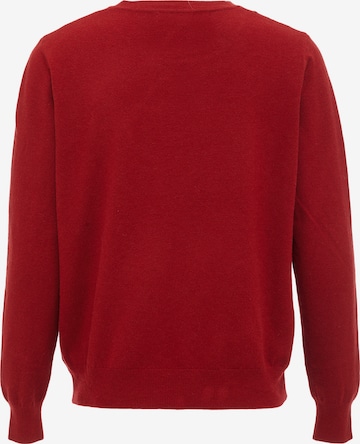 LUREA Sweater in Red
