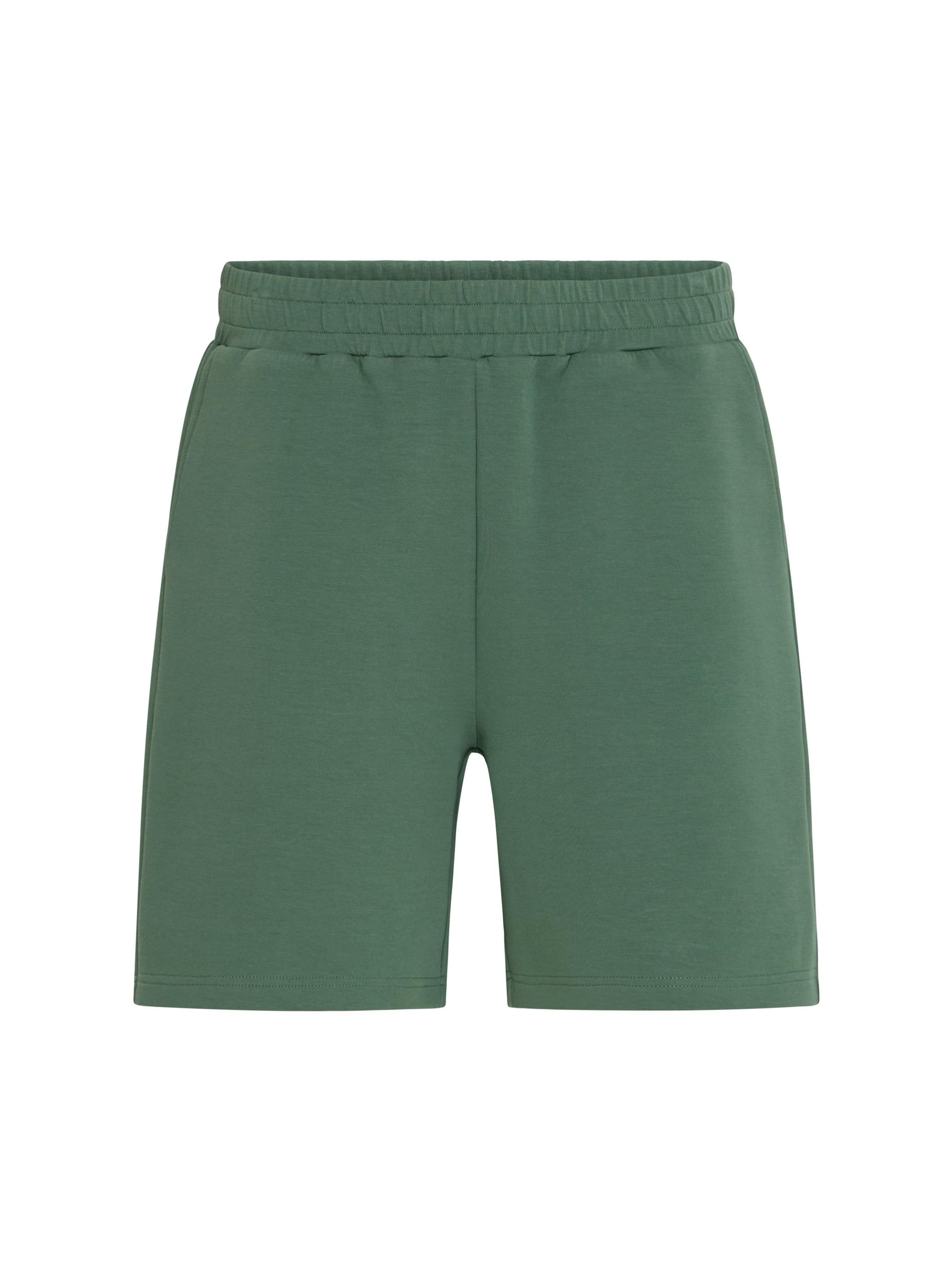Pantaloni ' SDRoland ' di !Solid in verde: frontale