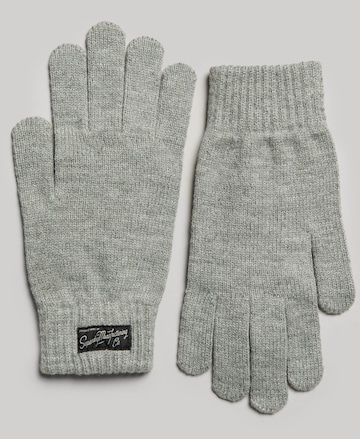 Superdry Full Finger Gloves in Grey