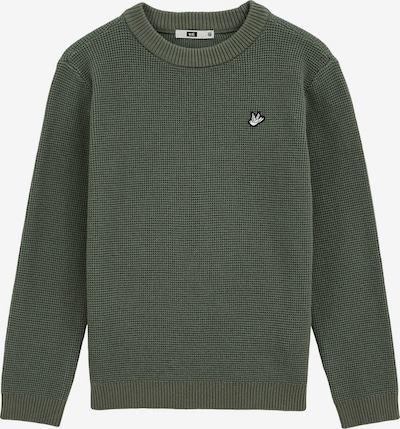 Megztinis iš WE Fashion, spalva – rusvai žalia, Prekių apžvalga