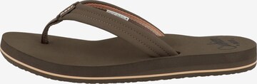 REEF Beach & Pool Shoes 'Breeze' in Brown