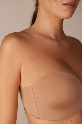 INTIMISSIMI Bandeau BH in Beige