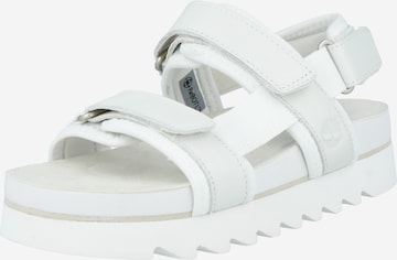 TIMBERLAND - Sandalias 'Santa Monica' en blanco: frente