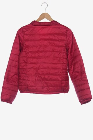 Desigual Jacket & Coat in M in Pink