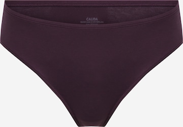CALIDA Panty in Purple: front