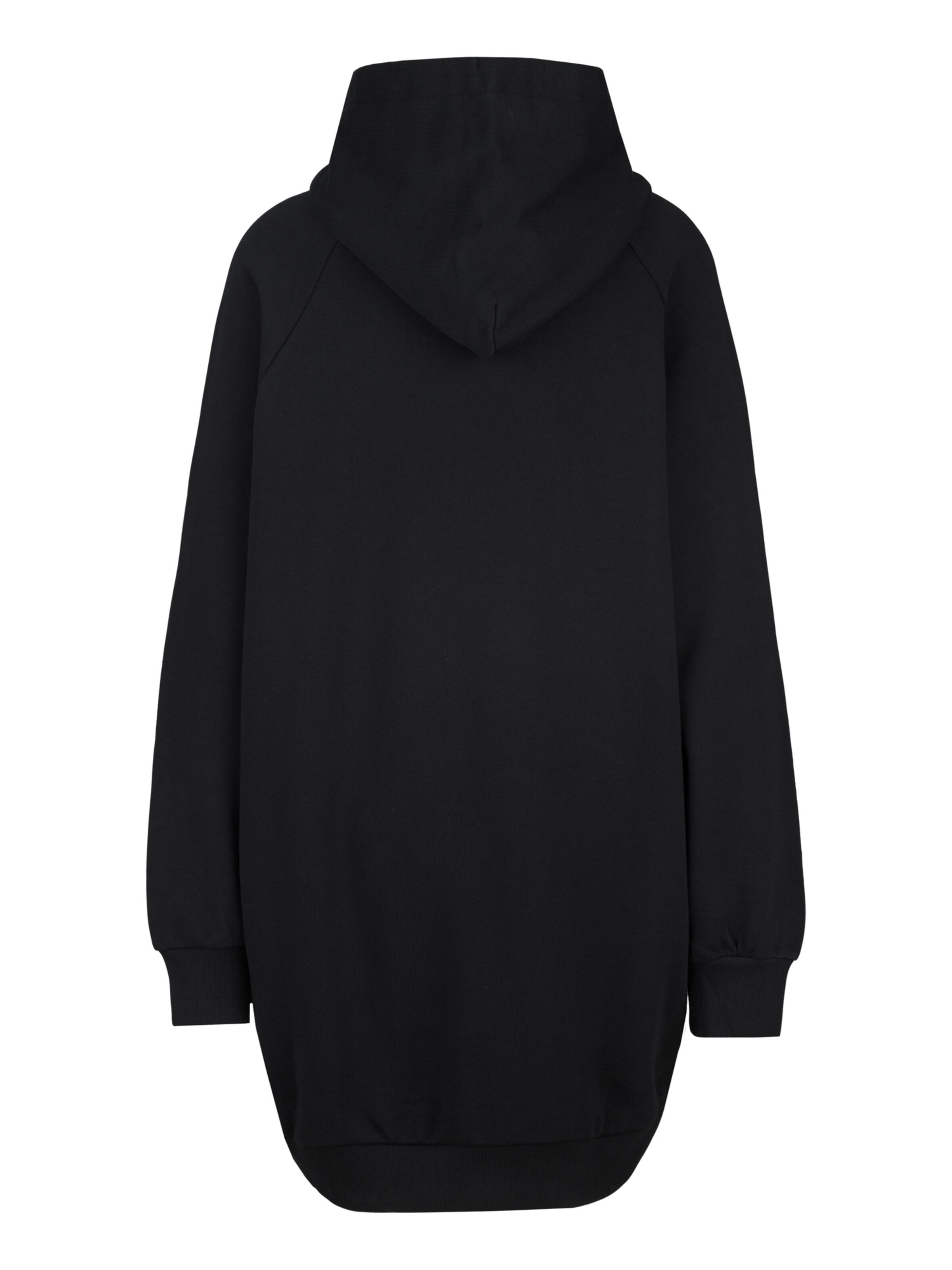 REPLAY Sweatshirt in Zwart