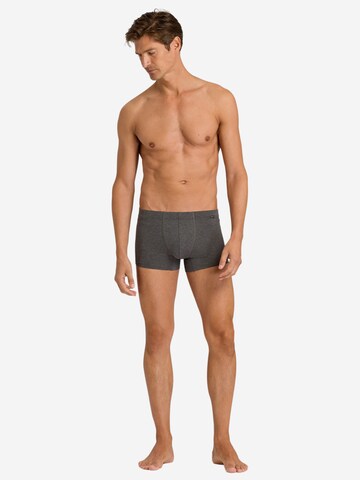 Hanro Boxer shorts 'Cotton Essentials' in Grey