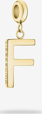 Liebeskind Berlin Pendant in Gold: front